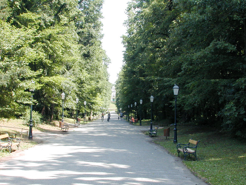Maksimir